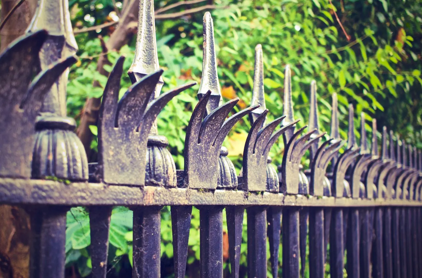 Black ornamental metal fence among green landscaping