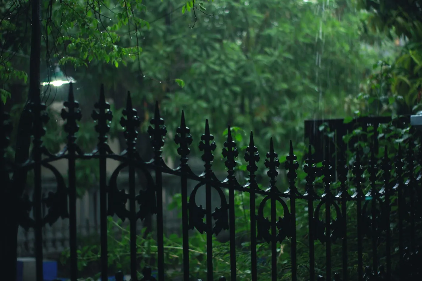 Black metal gate set within green landscaping